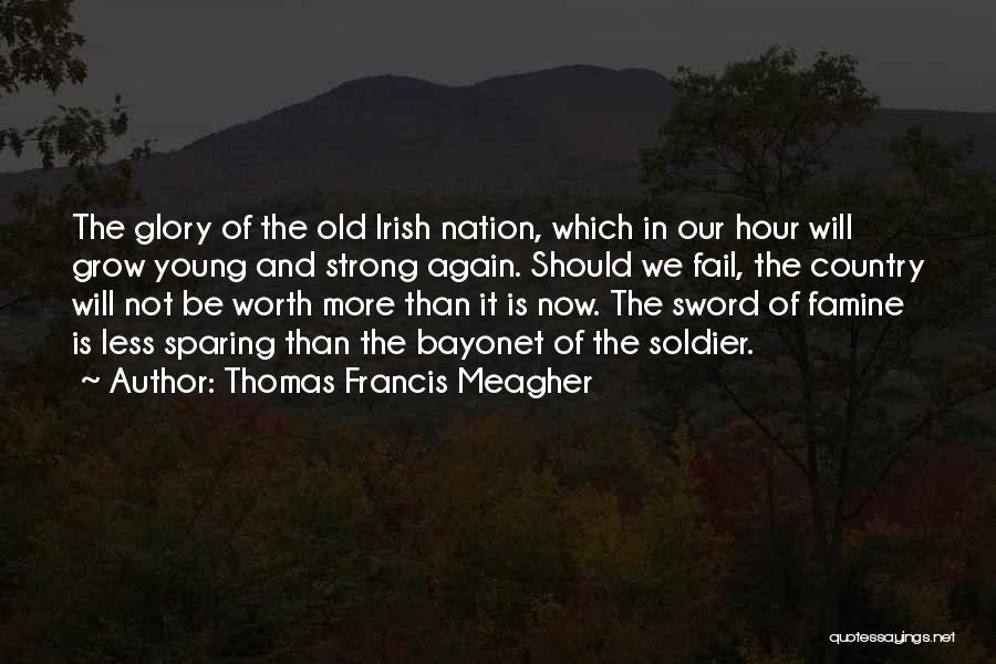 Thomas Francis Meagher Quotes 243367