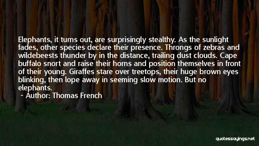 Thomas French Quotes 1675933