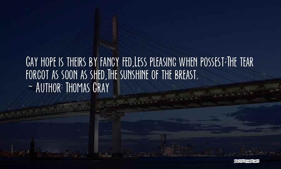 Thomas Gray Quotes 221941