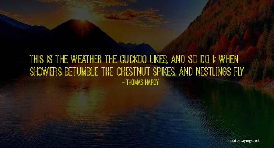 Thomas Hardy Quotes 1872883 Thomas Hardy Quotes 1872883
