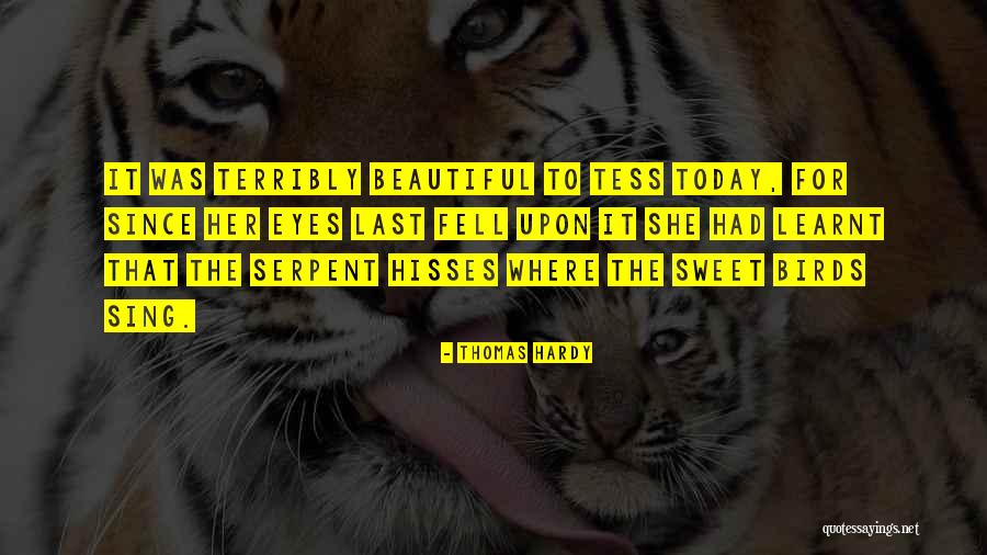 Thomas Hardy Quotes 1887625 Thomas Hardy Quotes 1887625