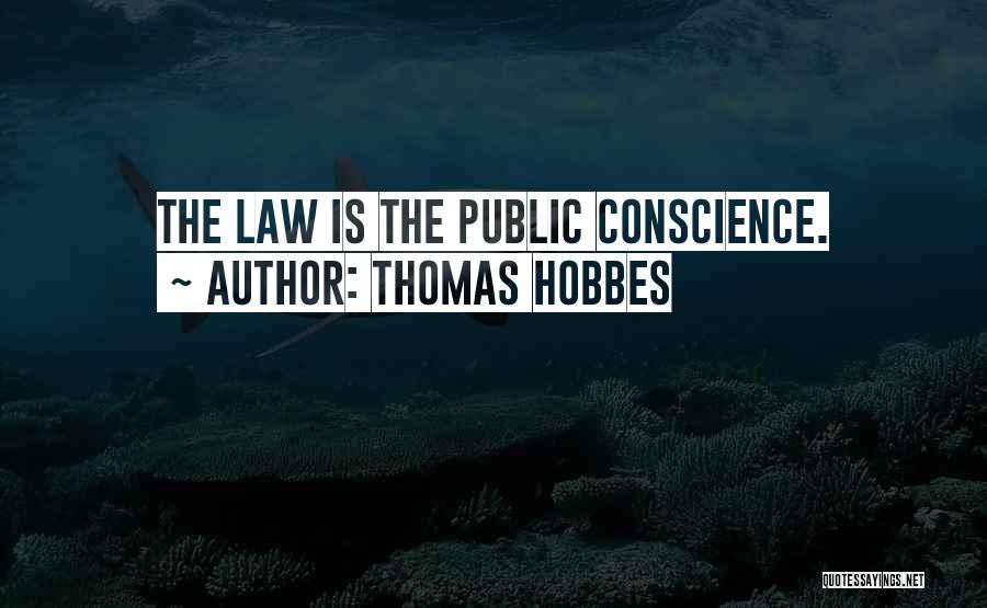 Thomas Hobbes Quotes 151279