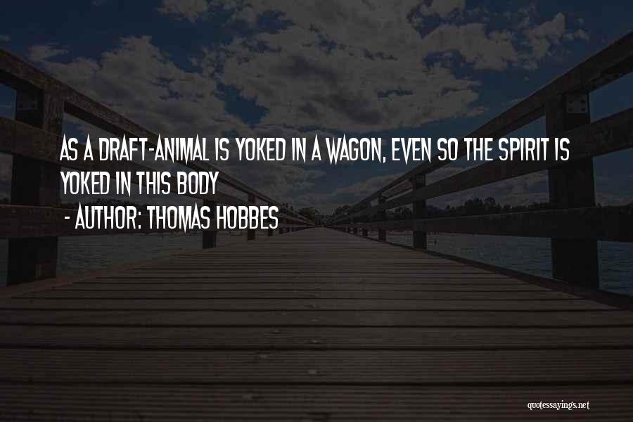Thomas Hobbes Quotes 416297