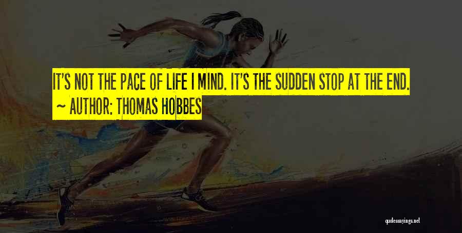 Thomas Hobbes Quotes 730628