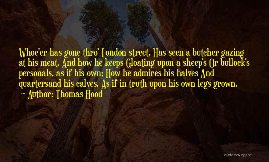 Thomas Hood Quotes 1407717