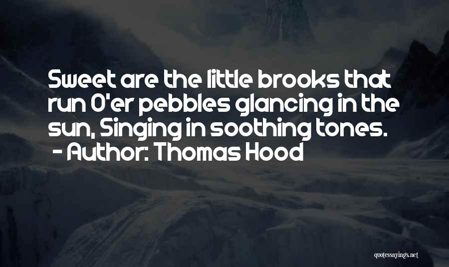 Thomas Hood Quotes 437102