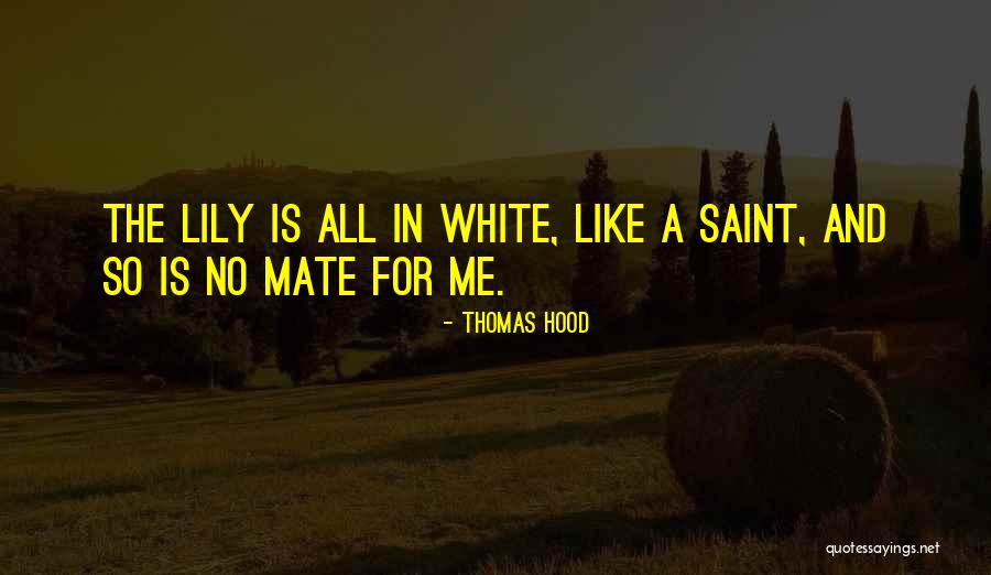 Thomas Hood Quotes 499753