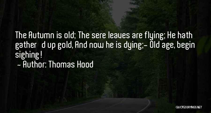 Thomas Hood Quotes 972592