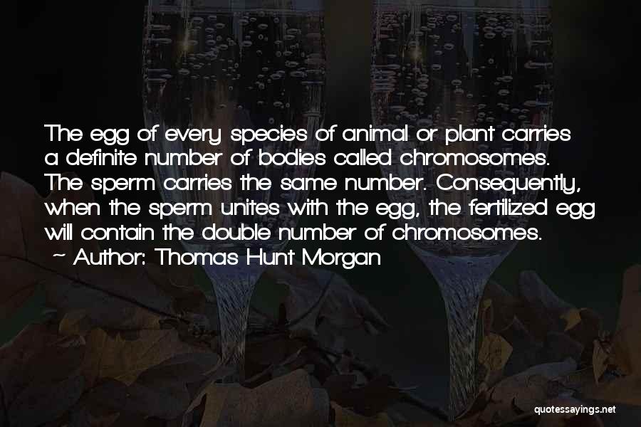 Thomas Hunt Morgan Quotes 145249
