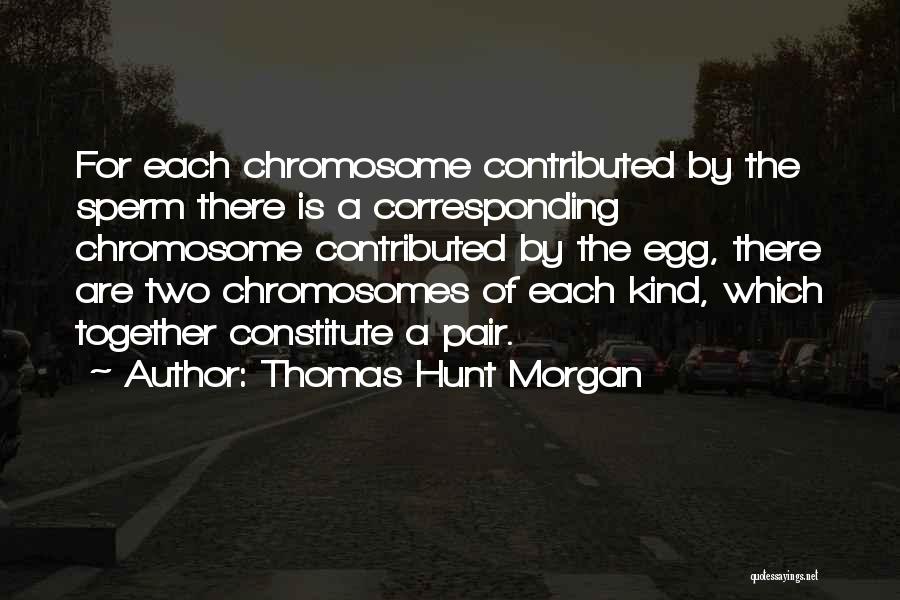 Thomas Hunt Morgan Quotes 2036343