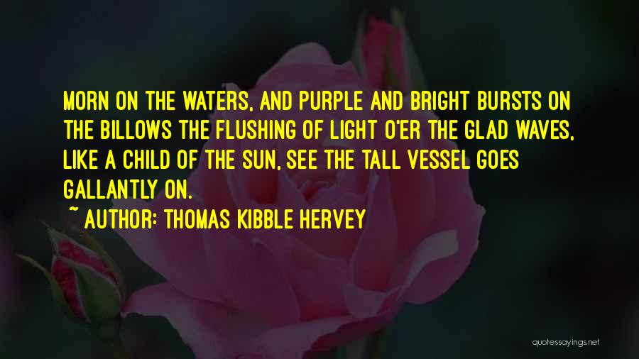 Thomas Kibble Hervey Quotes 1859385