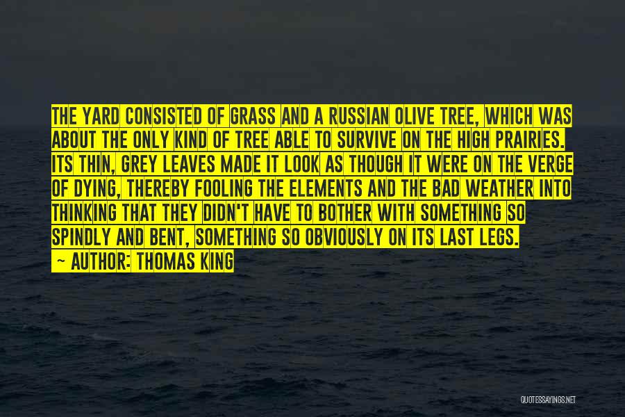 Thomas King Quotes 1553218