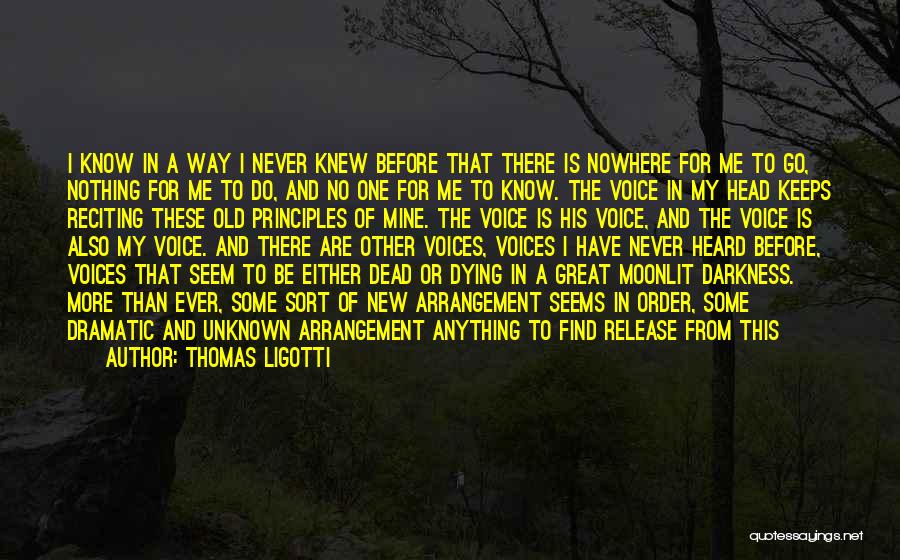 Thomas Ligotti Quotes 1503155