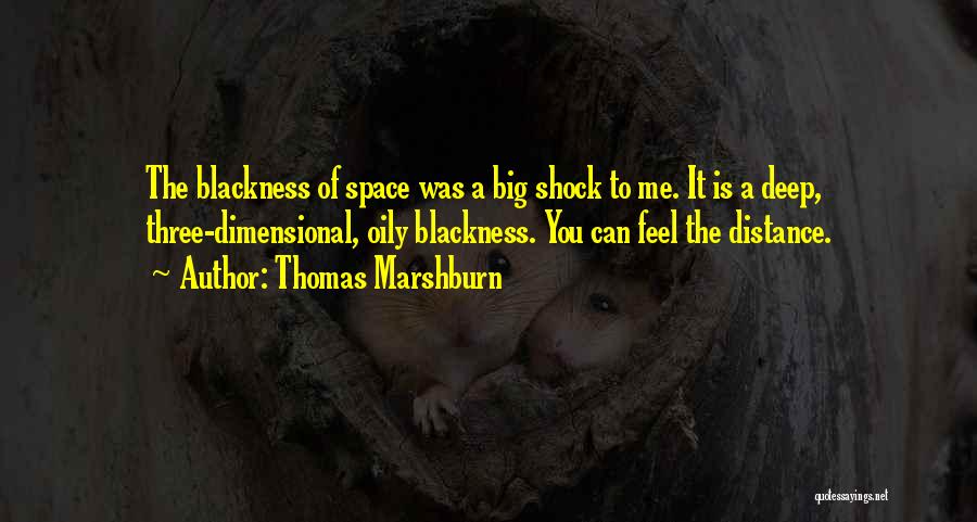 Thomas Marshburn Quotes 1412618