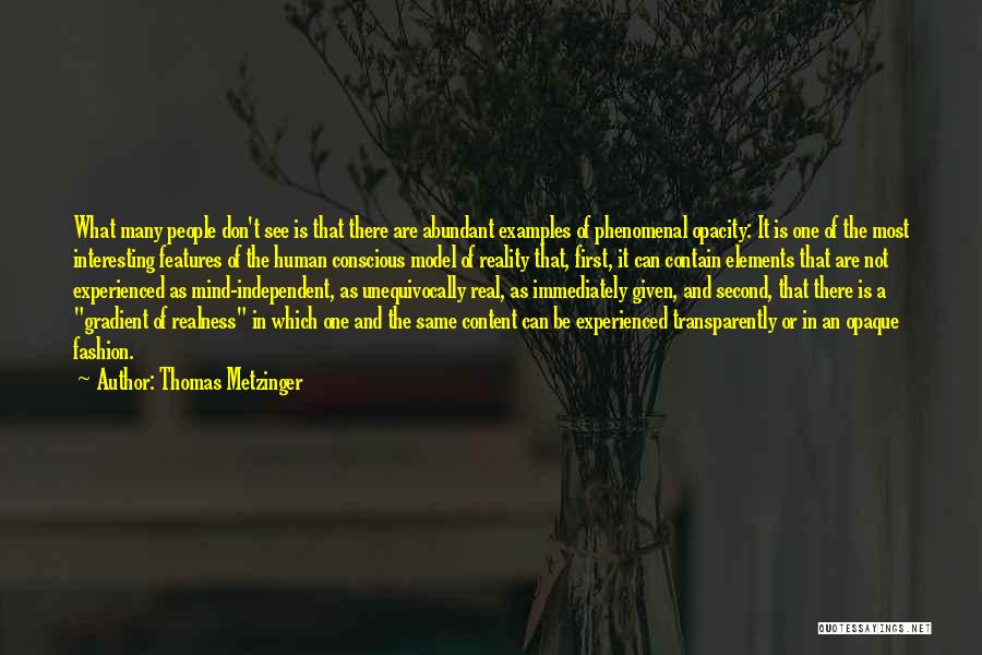 Thomas Metzinger Quotes 1279227