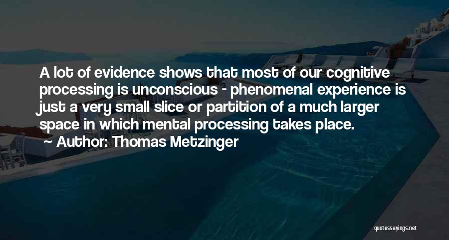 Thomas Metzinger Quotes 358990