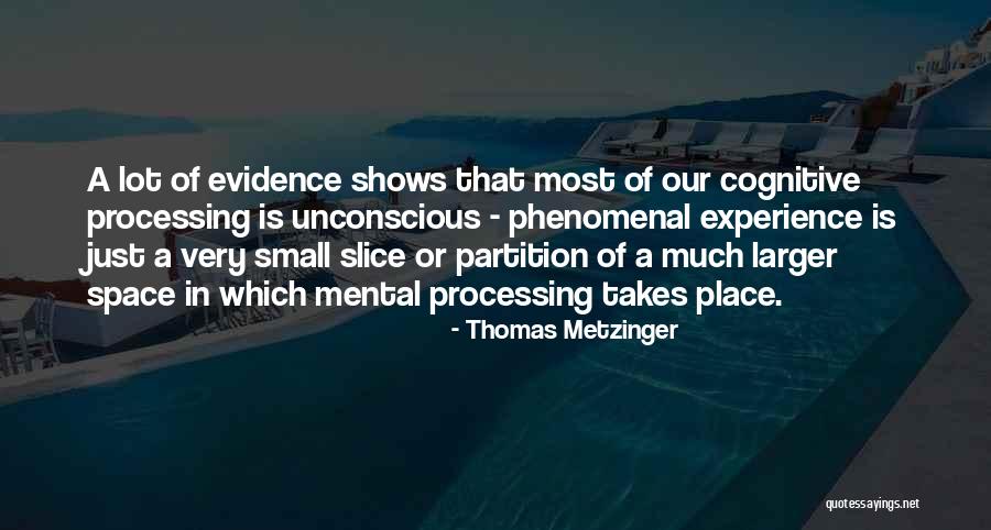 Thomas Metzinger Quotes 358990