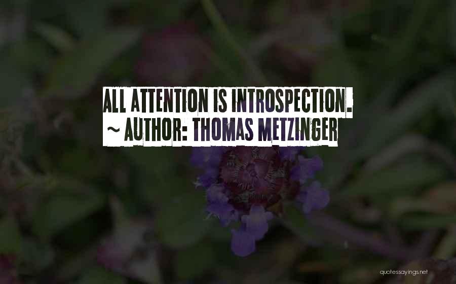 Thomas Metzinger Quotes 913950