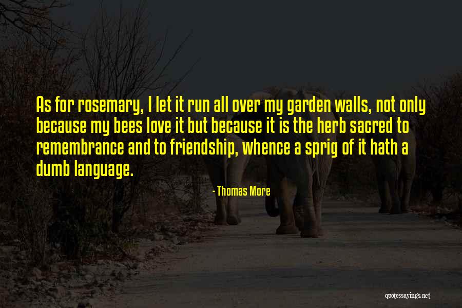 Thomas More Quotes 1530204