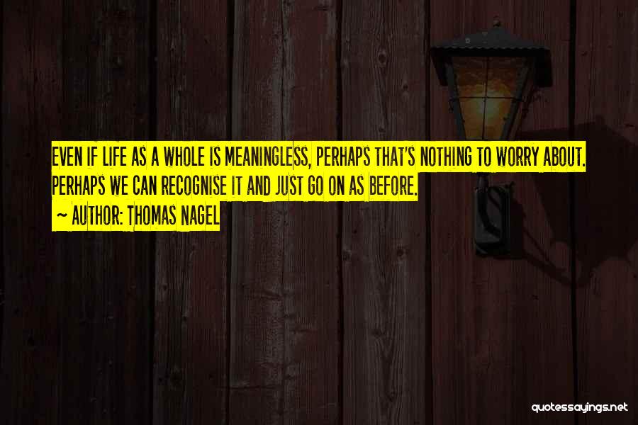 Thomas Nagel Quotes 174614