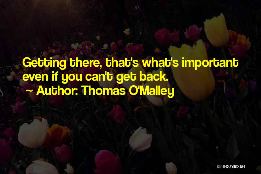 Thomas O'Malley Quotes 1862434