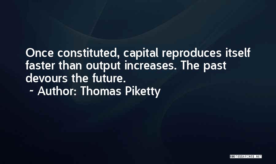 Thomas Piketty Quotes 530710