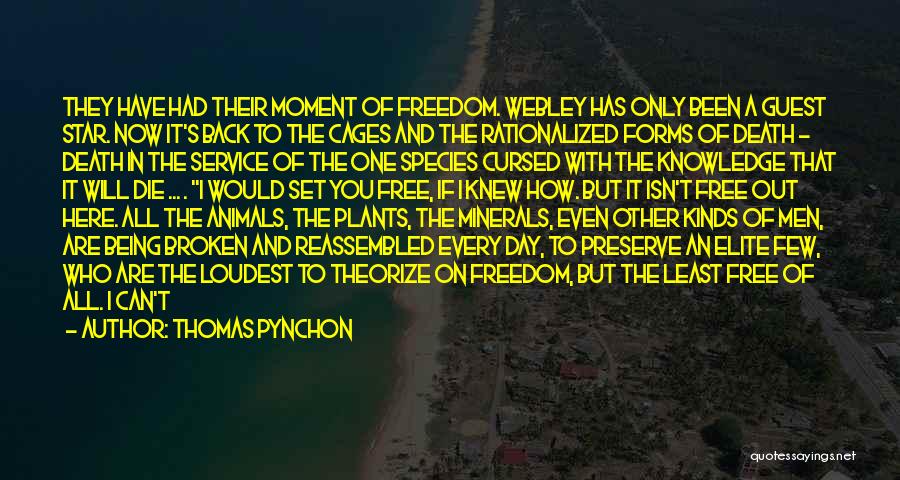 Thomas Pynchon Quotes 476900