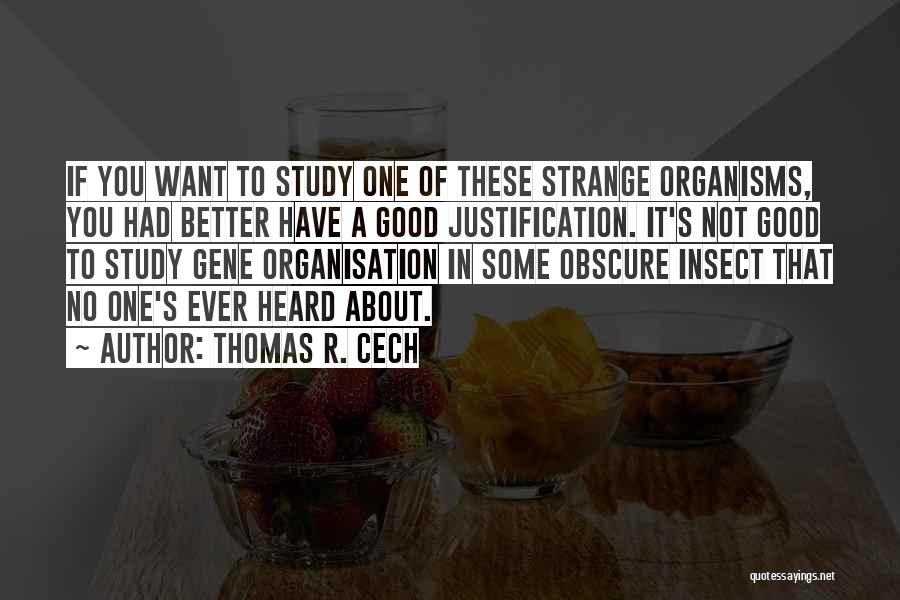 Thomas R. Cech Quotes 1195034