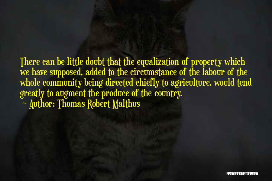 Thomas Robert Malthus Quotes 1523803