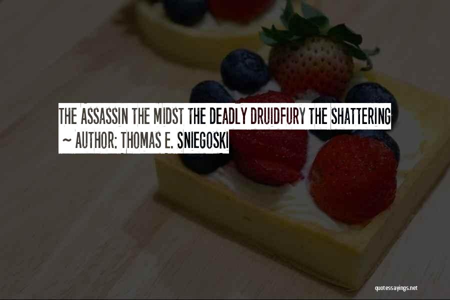 Thomas Sniegoski Quotes By Thomas E. Sniegoski