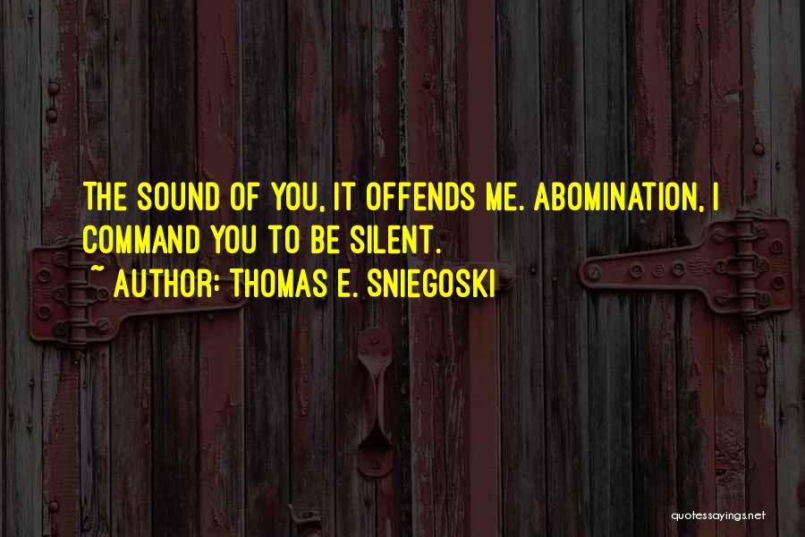 Thomas Sniegoski Quotes By Thomas E. Sniegoski