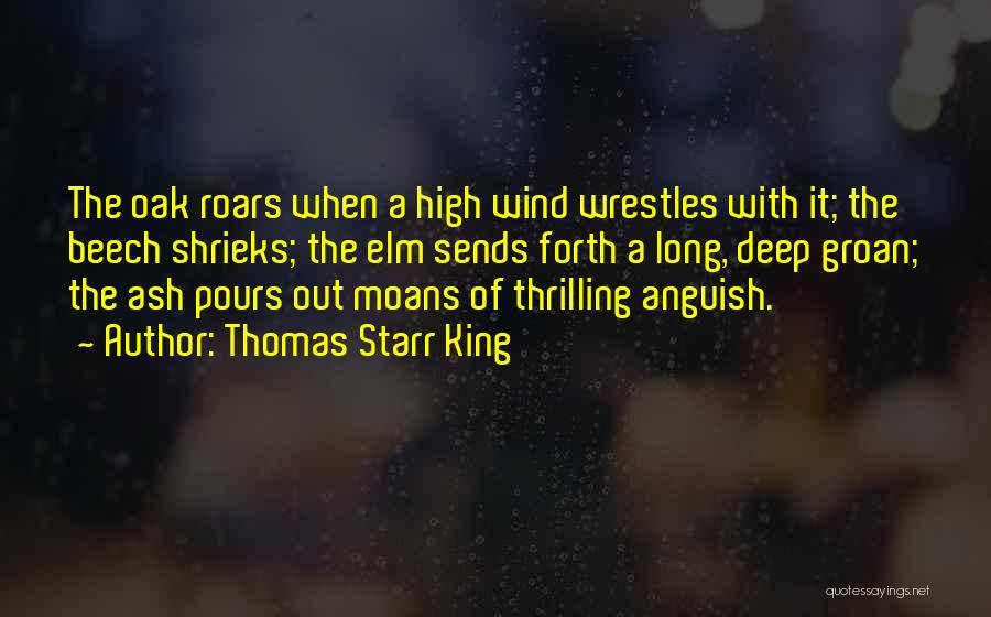 Thomas Starr King Quotes 1382763