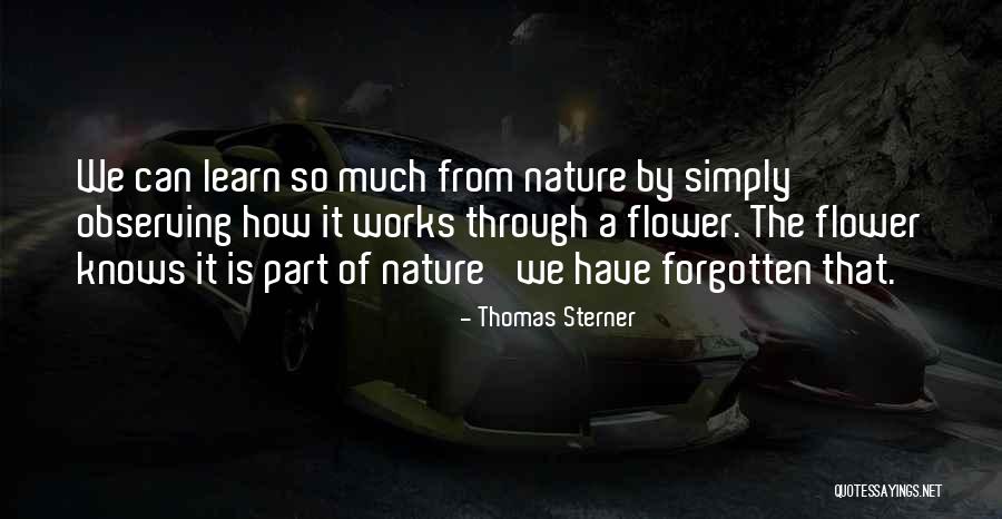 Thomas Sterner Quotes 670698