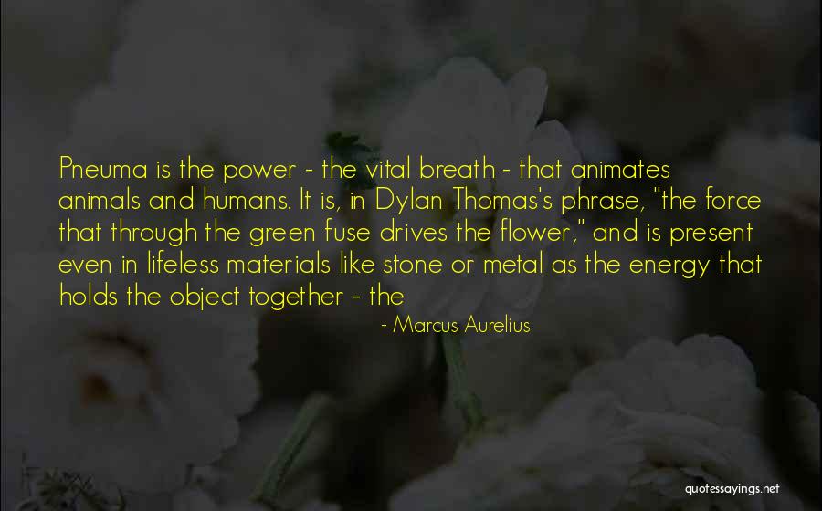 Thomas Stone Quotes By Marcus Aurelius Thomas Stone Quotes By Marcus Aurelius