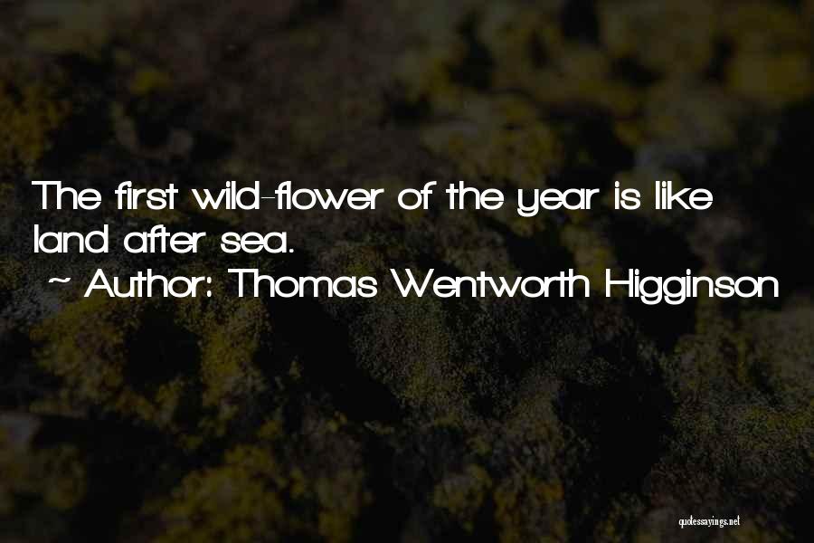 Thomas Wentworth Higginson Quotes 1107948