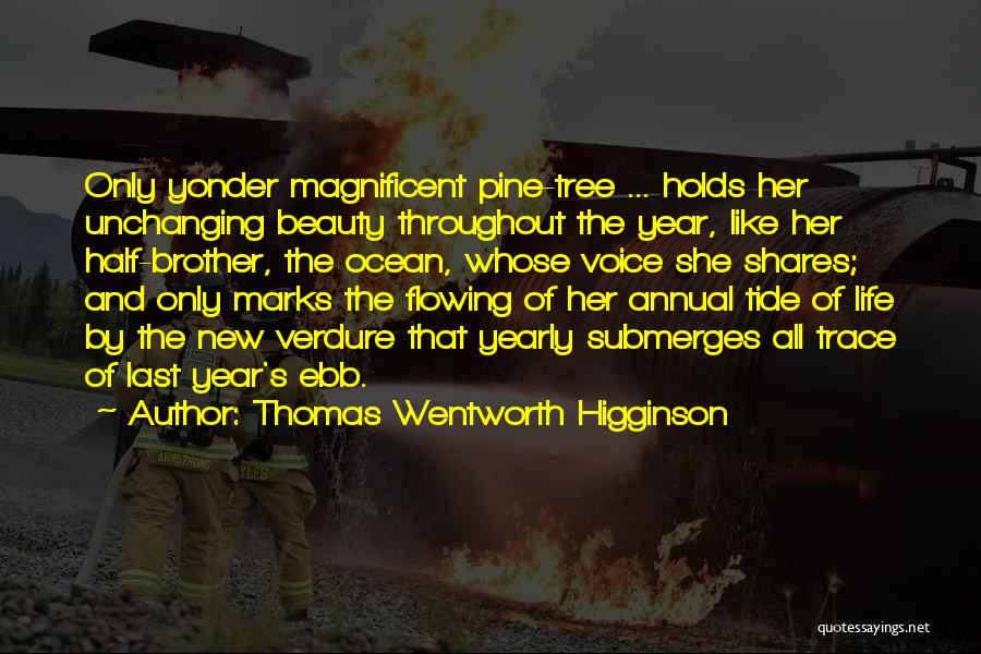 Thomas Wentworth Higginson Quotes 1266169