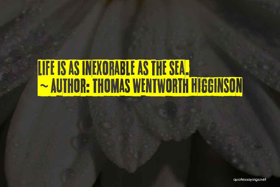 Thomas Wentworth Higginson Quotes 995901