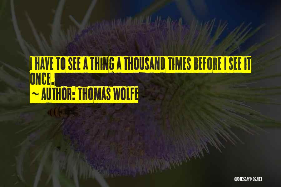 Thomas Wolfe Quotes 1147898