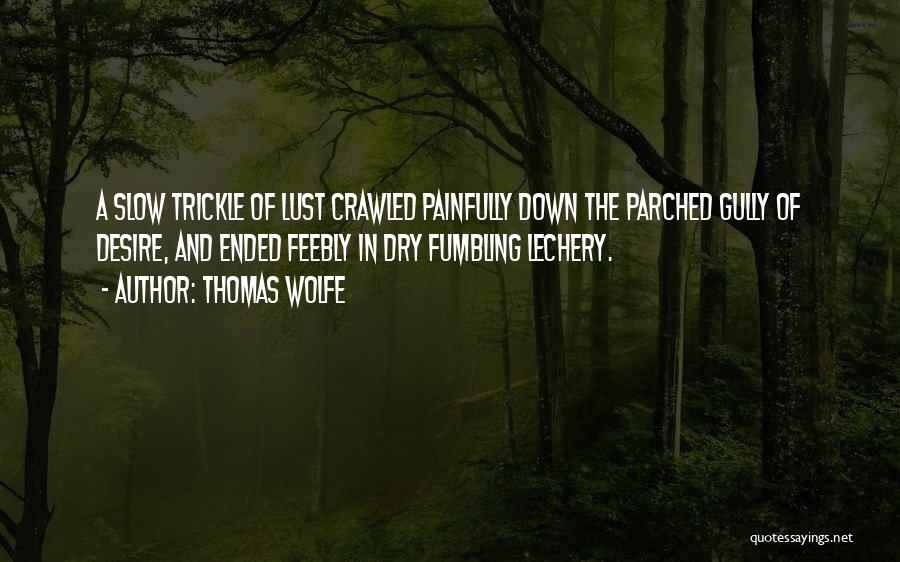 Thomas Wolfe Quotes 2076835