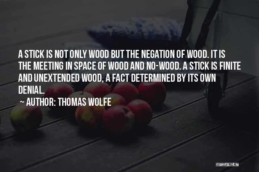 Thomas Wolfe Quotes 857515