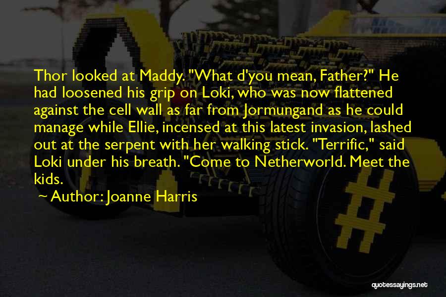 Thor And Loki Quotes By Joanne Harris