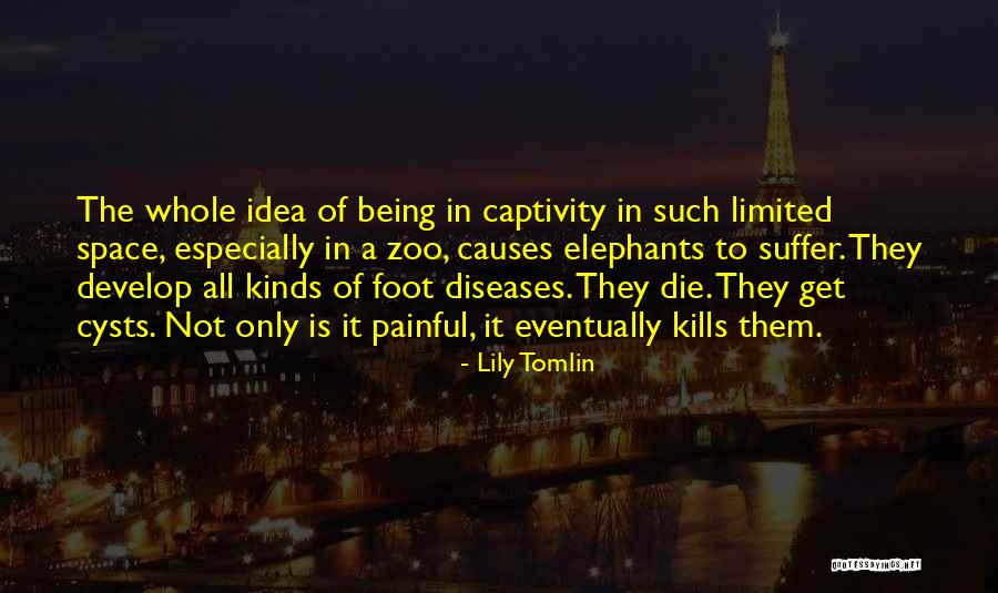 Thorbeckelaan Quotes By Lily Tomlin Thorbeckelaan Quotes By Lily Tomlin
