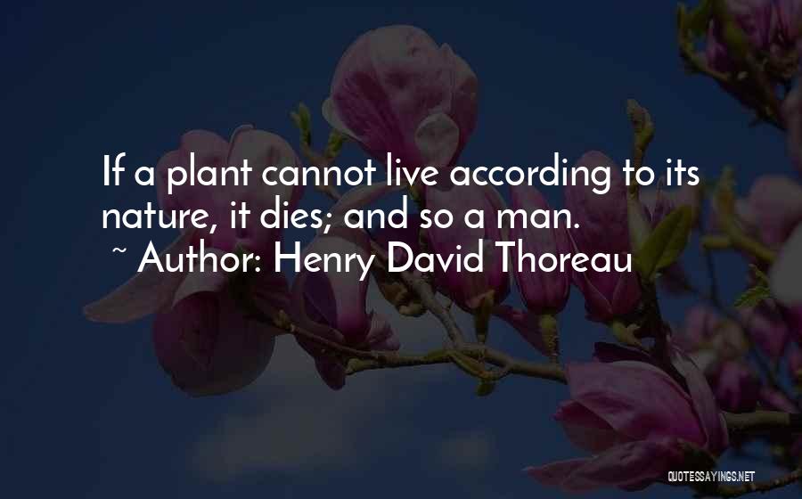 Thoreau Civil Disobedience Best Quotes By Henry David Thoreau