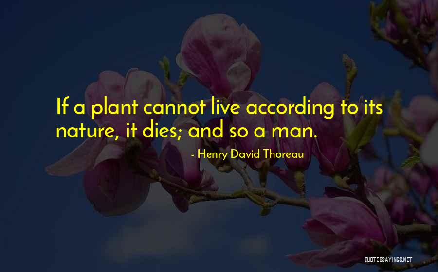 Thoreau Disobedience Quotes By Henry David Thoreau Thoreau Disobedience Quotes By Henry David Thoreau