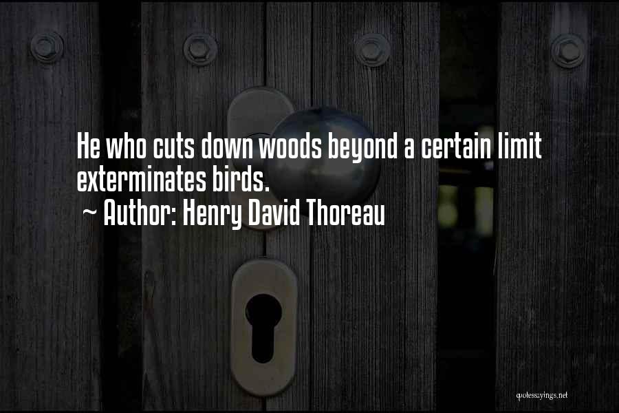 Thoreau Into The Woods Quotes By Henry David Thoreau