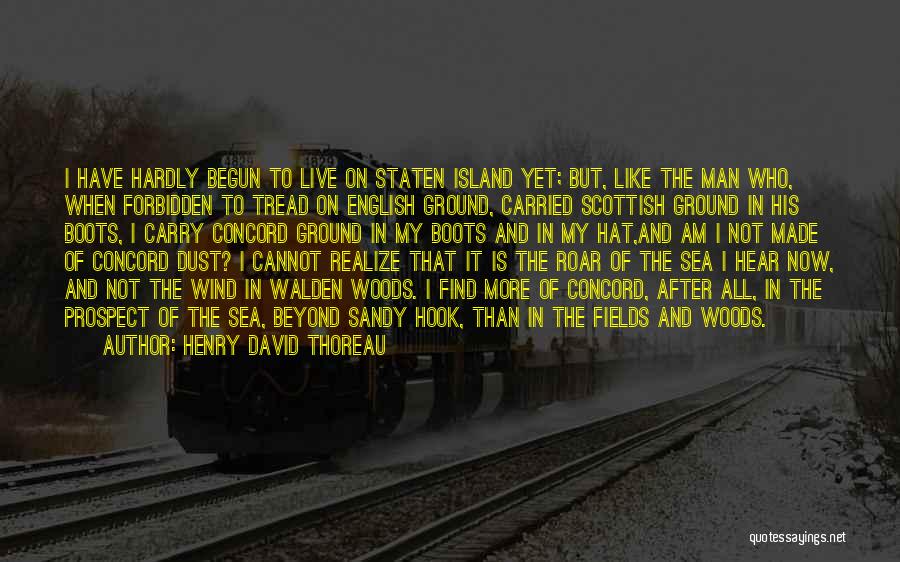 Thoreau Into The Woods Quotes By Henry David Thoreau