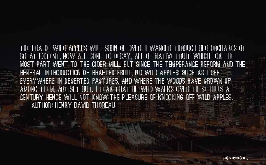 Thoreau Into The Woods Quotes By Henry David Thoreau