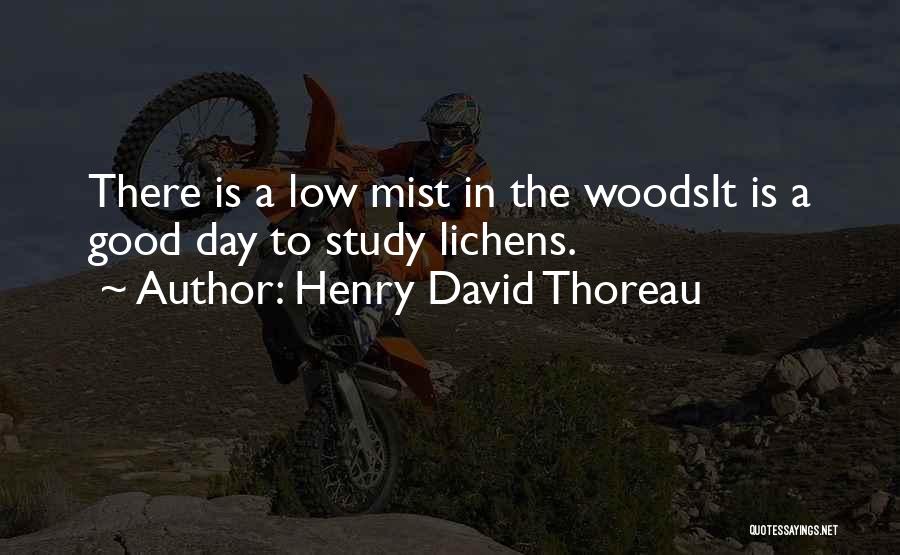 Thoreau Into The Woods Quotes By Henry David Thoreau