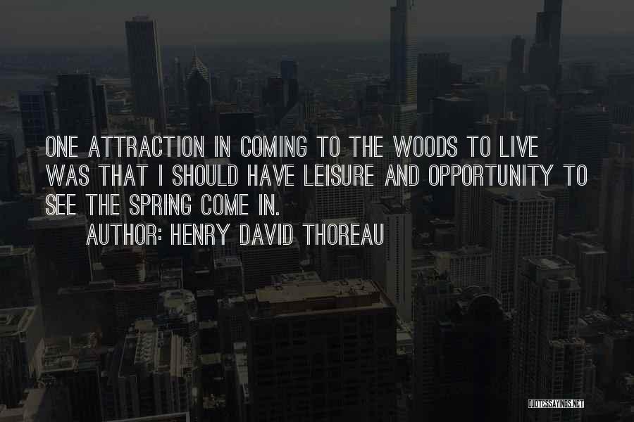 Thoreau Into The Woods Quotes By Henry David Thoreau