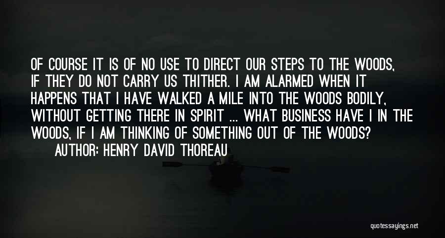 Thoreau Into The Woods Quotes By Henry David Thoreau